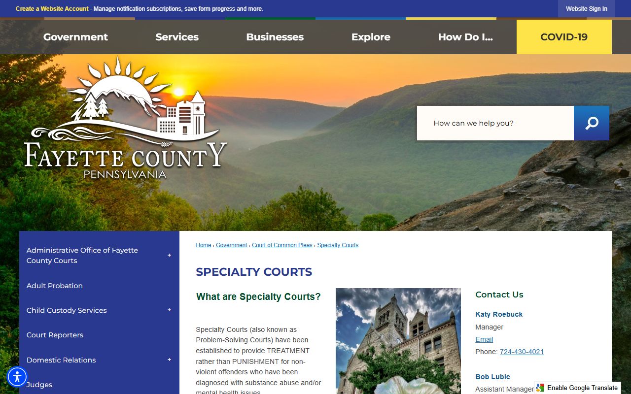Fayette County court dockets specialty courts