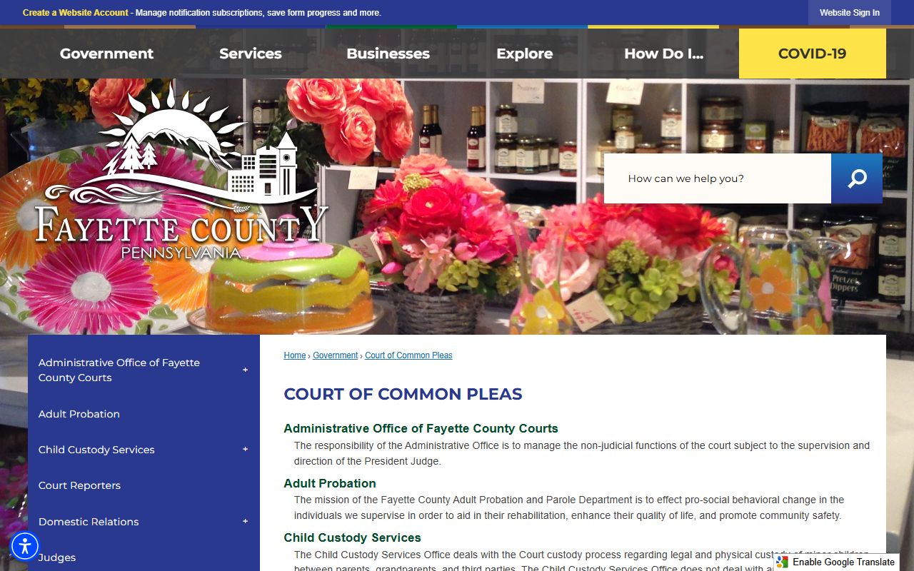 Fayette County Court of Common Pleas records page