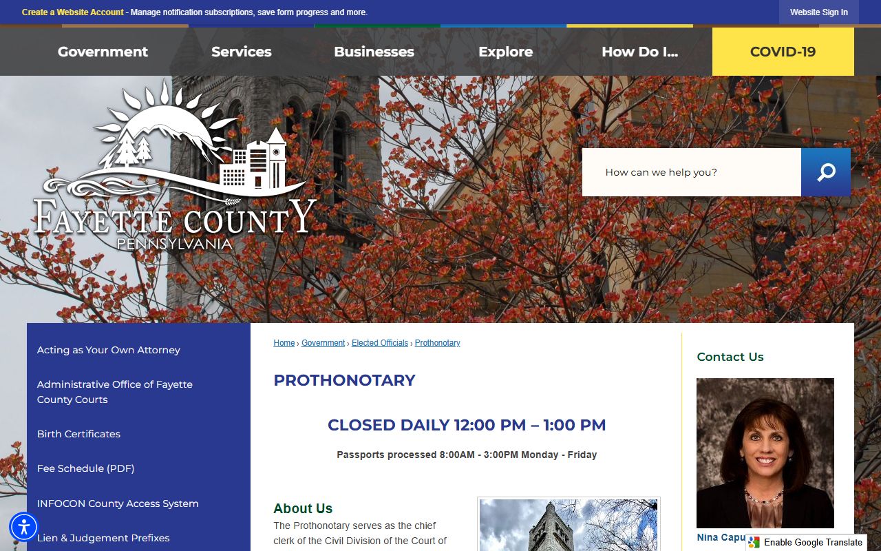 Fayette County Prothonotary records access page